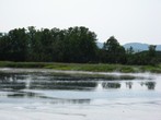 Мишка 00281.jpg